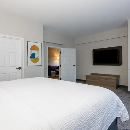 Holiday Inn Express Tampa North Telecom Park By Ihg Esterno foto