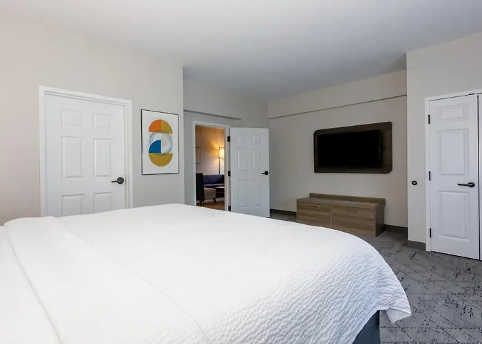 Holiday Inn Express Tampa North Telecom Park By Ihg